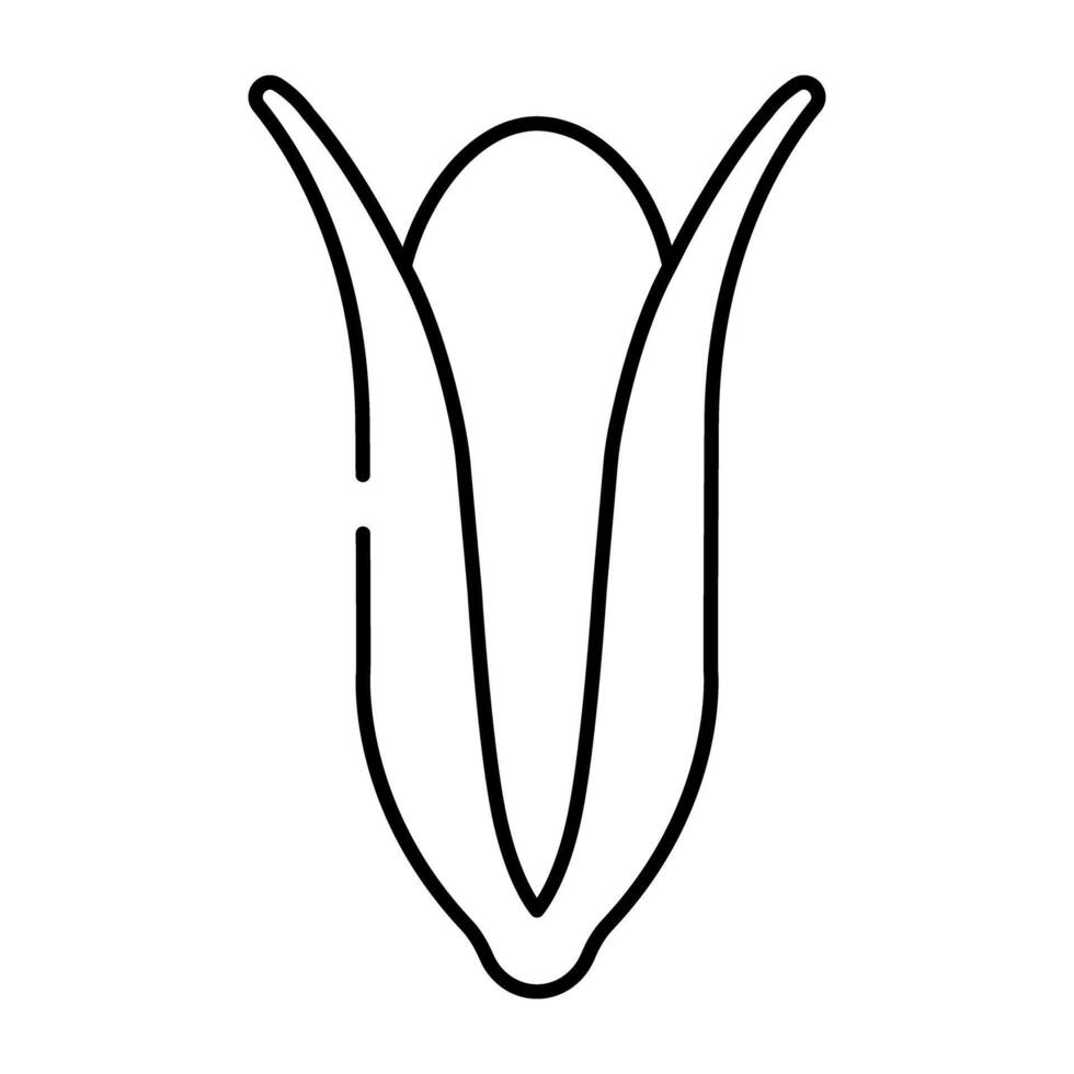 A perfect design icon of corn cob vector