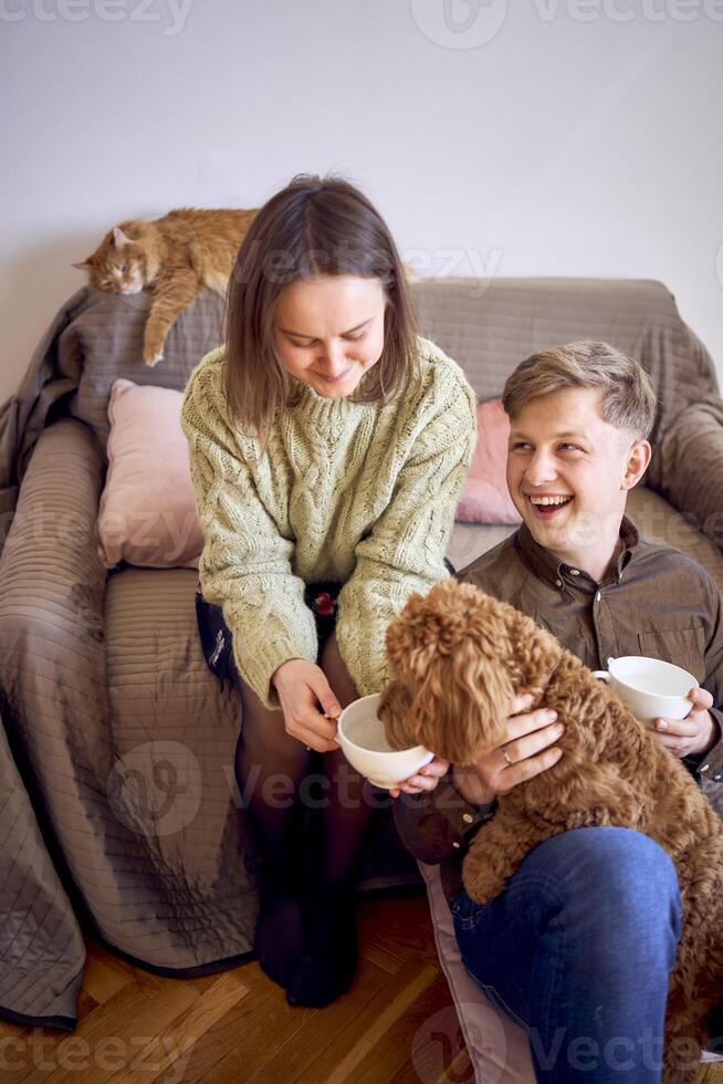 couple drinking from cups on couch in living room, ginger cat sleeping on couch, cockapoo also drinking from mom's cup photo