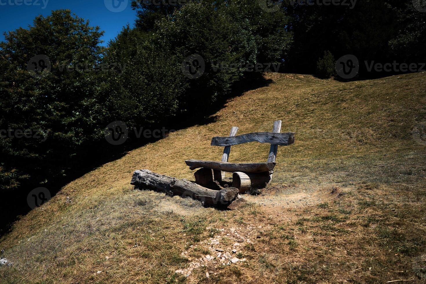 a wooden bench and a dry fallen tree on a hillside, a relaxing location with a view of lake como photo