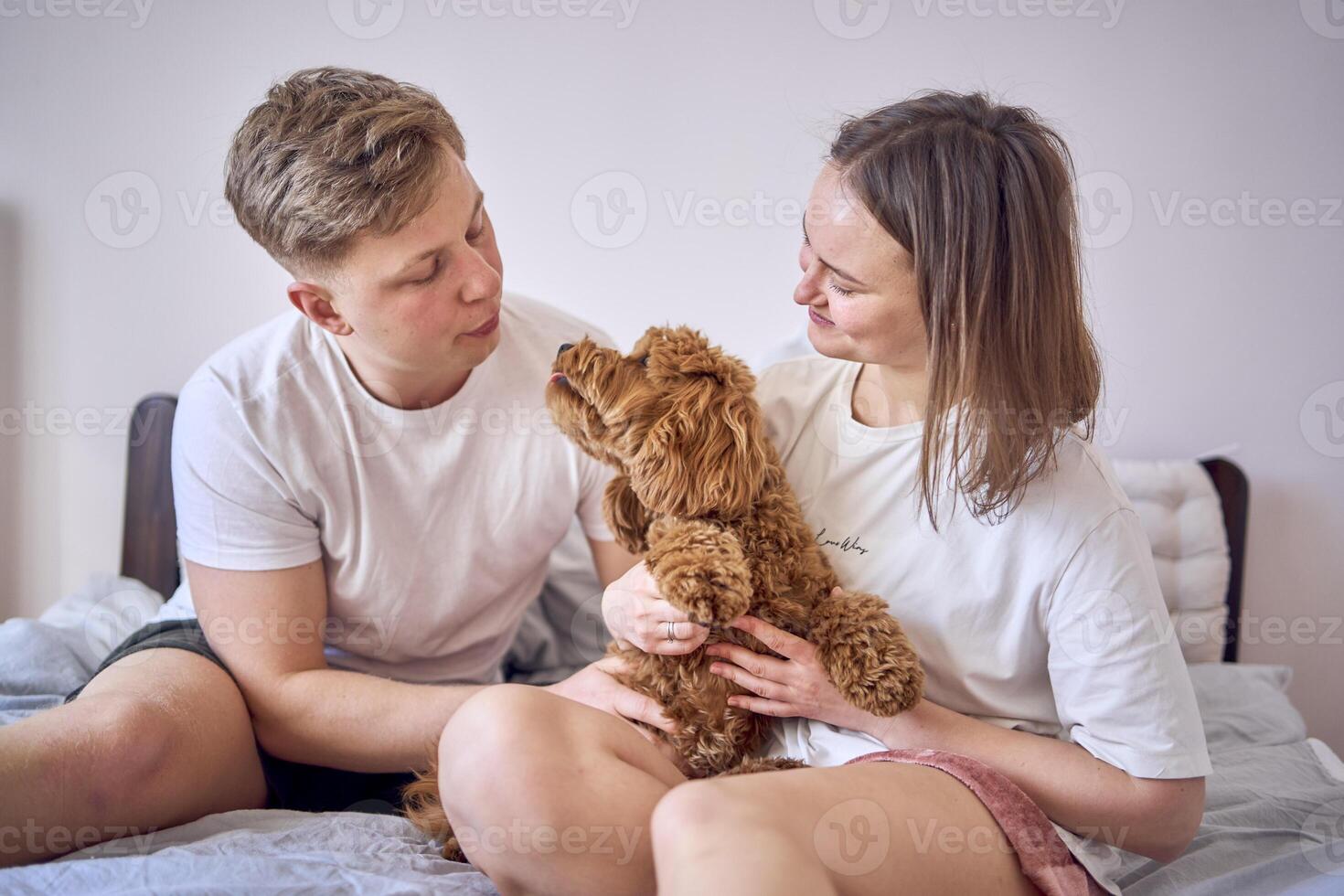 young couple is holding a cockapoo dog in their arms on the bed photo