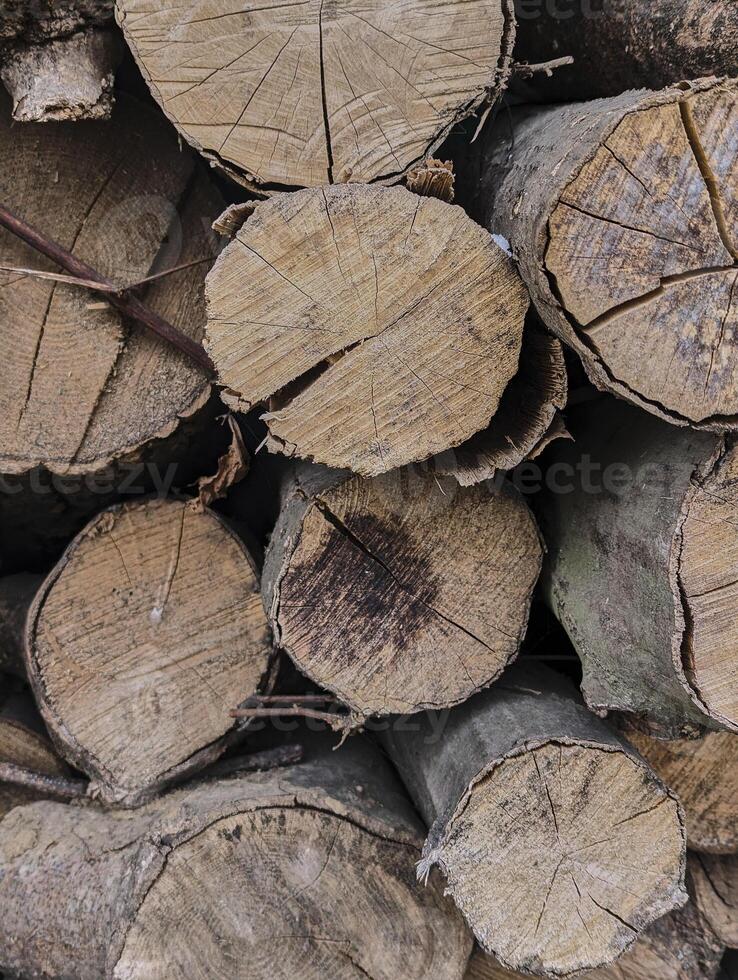 textura de resistido madera cortes, fondo, grunge foto