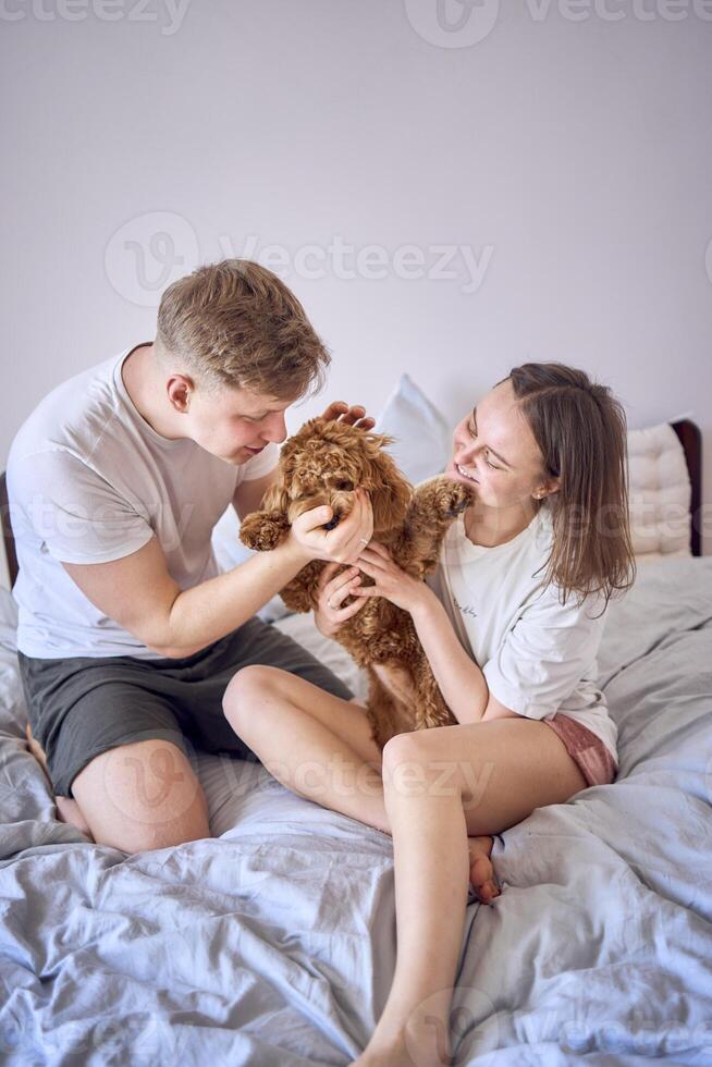 a couple plays with a cockapoo girl on a bed, minimalism photo