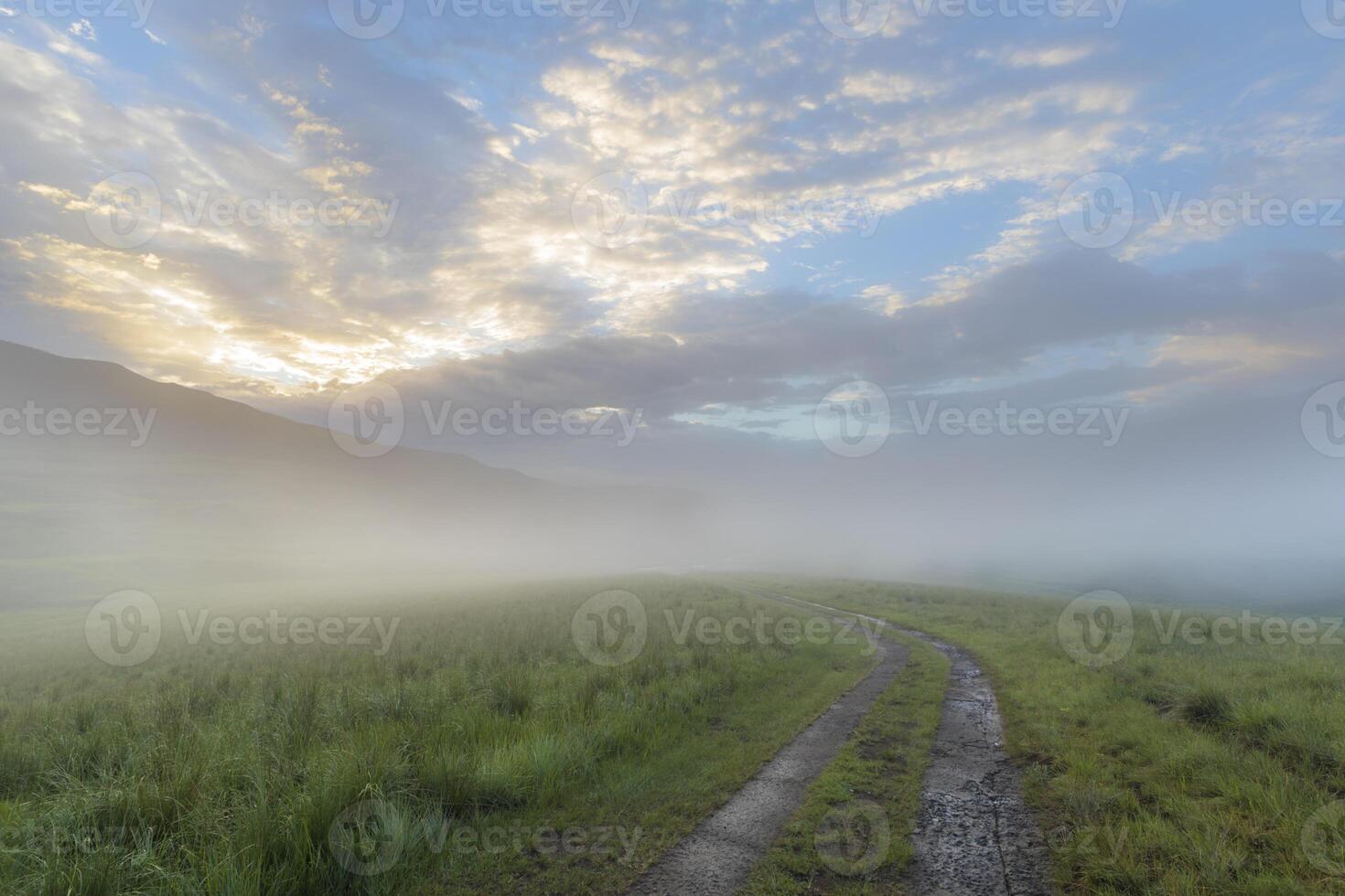 bajo niebla en el temprano Mañana foto