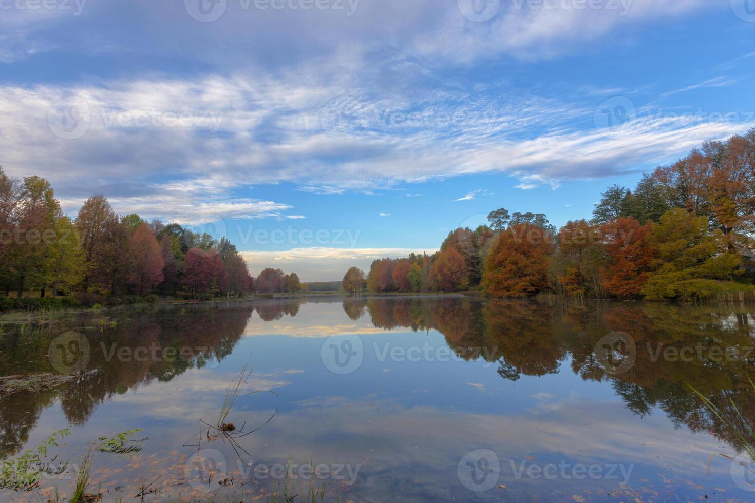 Reflection of autumn colored trees photo