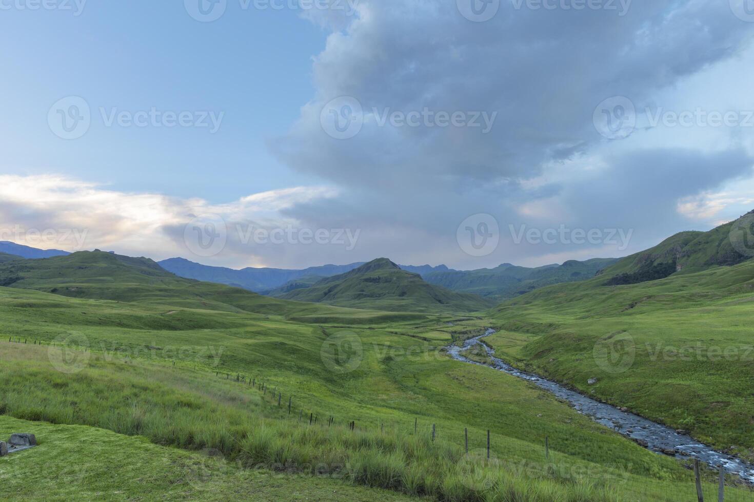 Mountain stream flow in green valley photo