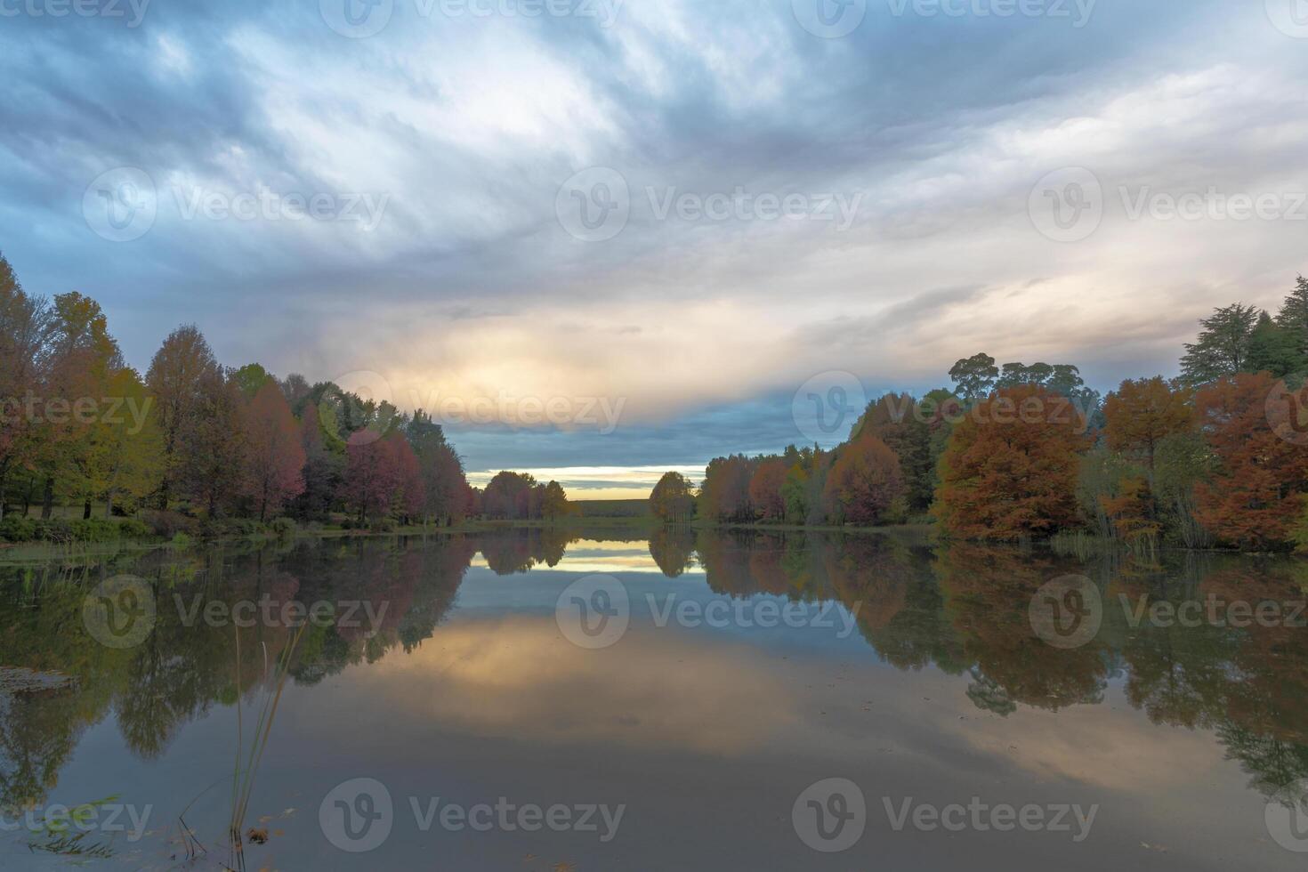 otoño de colores arboles y nubes de colores a amanecer foto