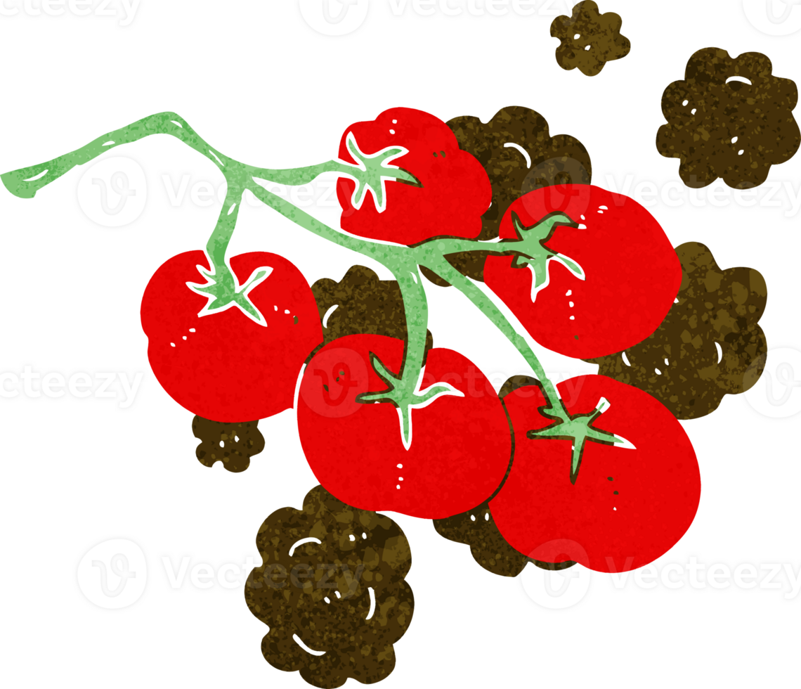 green tomatoes on vine illustration png