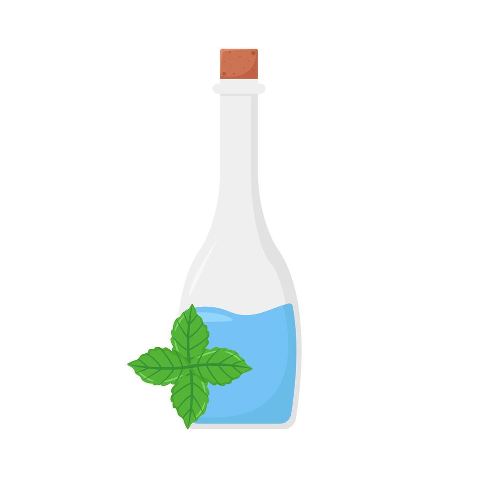 Illustration of mint vector