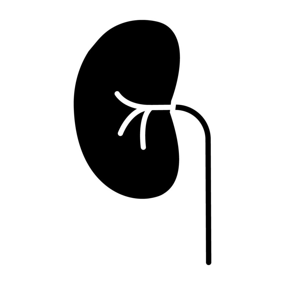 Kidney icon in editable style vector