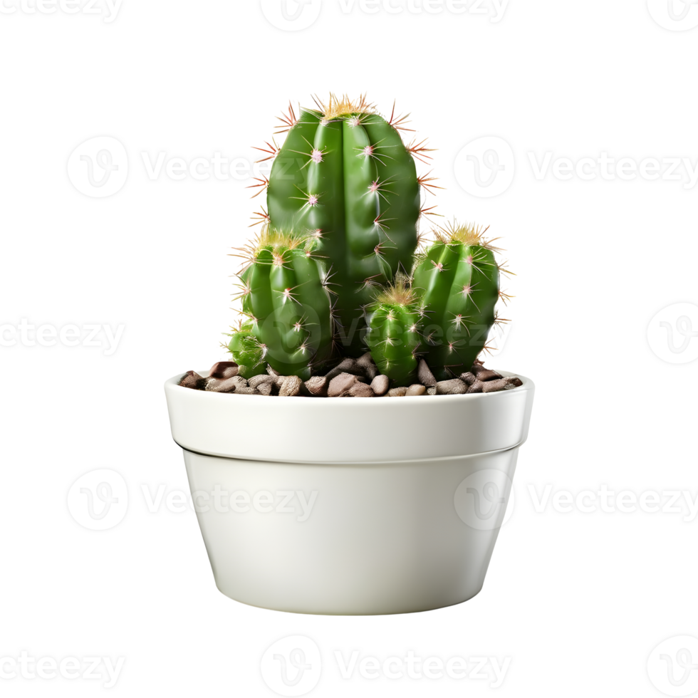 AI generated House parlor plant Mini Cactus plant in modern pot or vase isolated on transparent background generative ai png