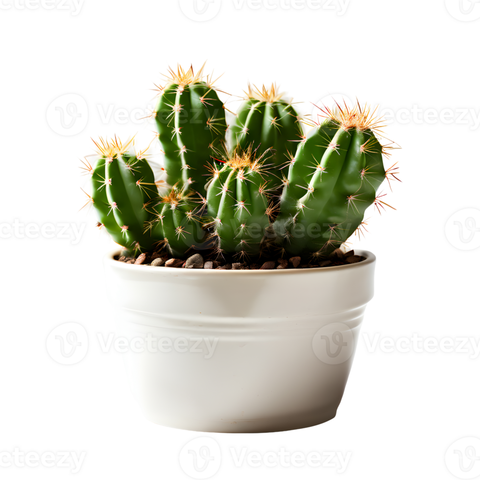 AI generated House parlor plant Mini Cactus plant in modern pot or vase isolated on transparent background generative ai png
