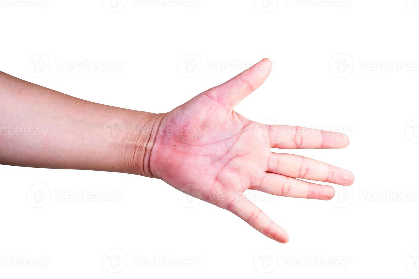 hand on isolated background clipping path photo