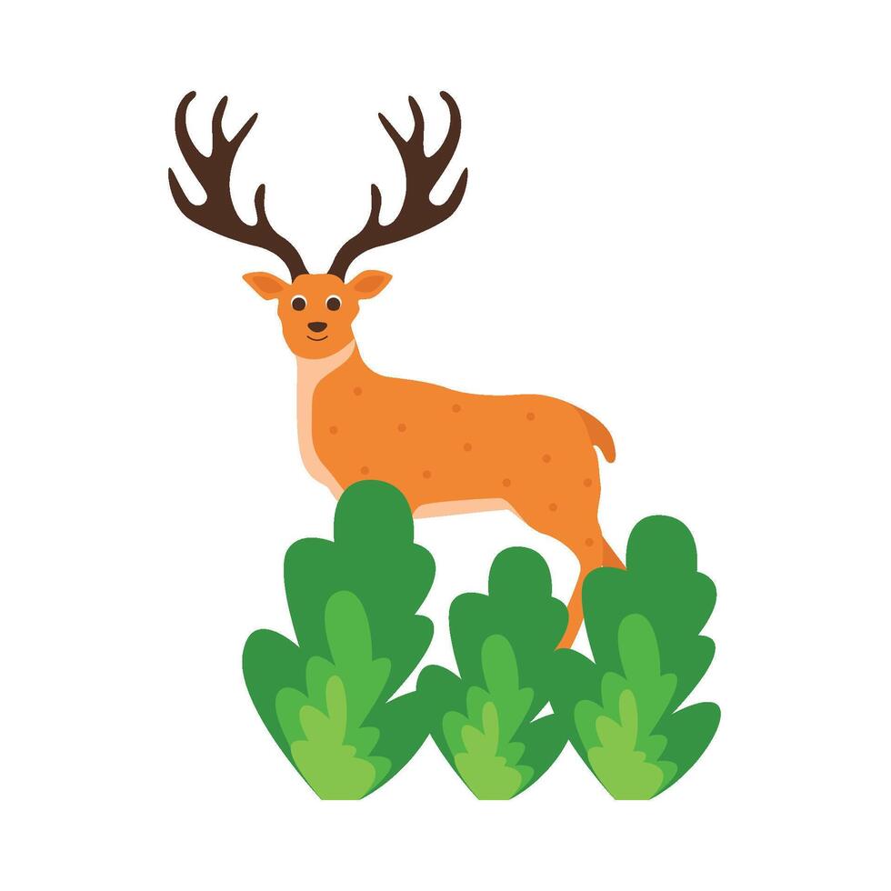 Illustration of deer vector