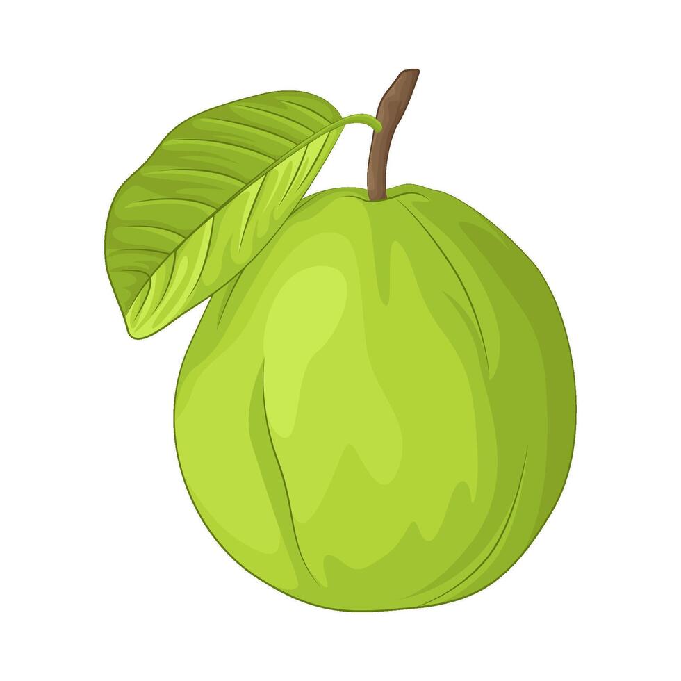 ilustración de guayaba vector