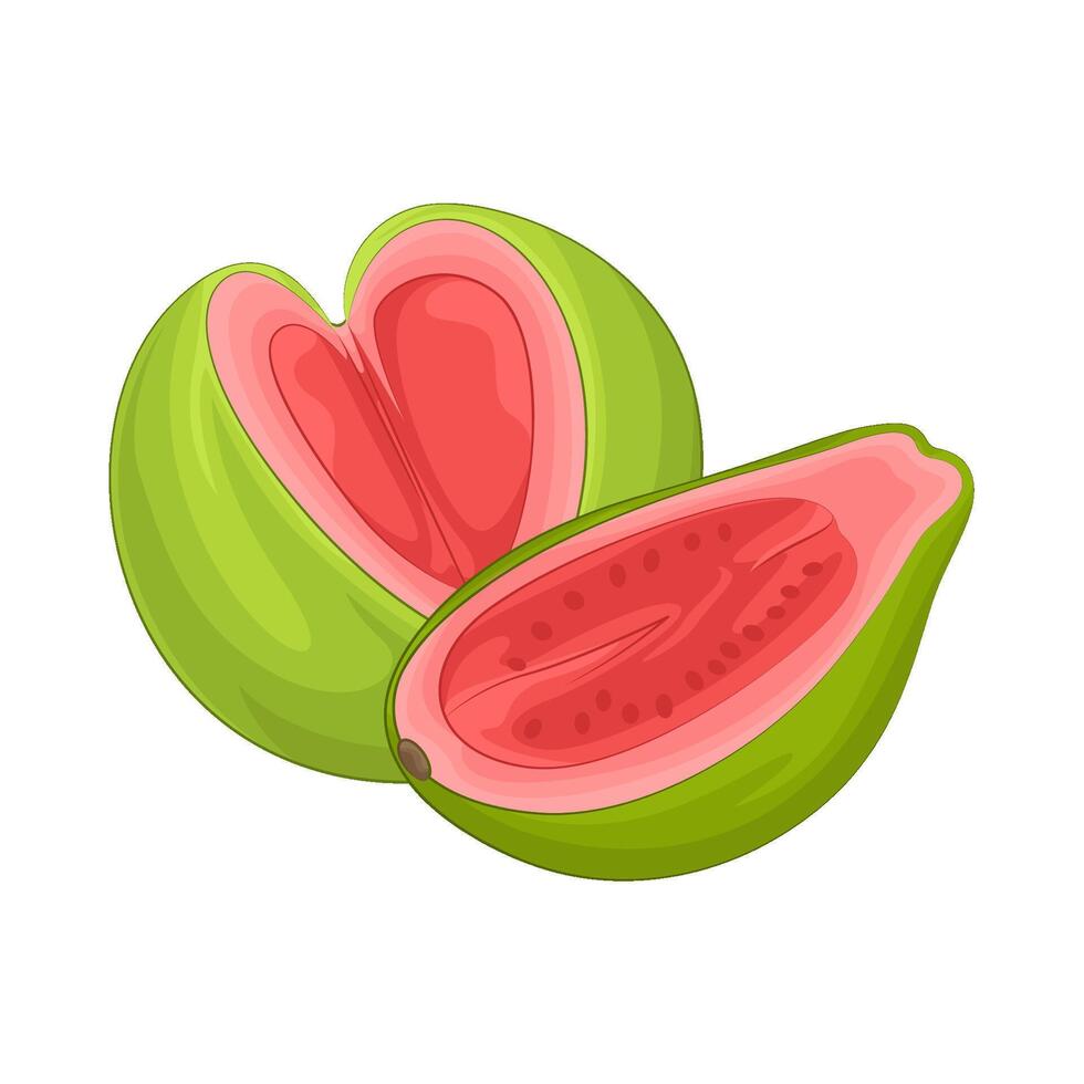 ilustración de guayaba vector