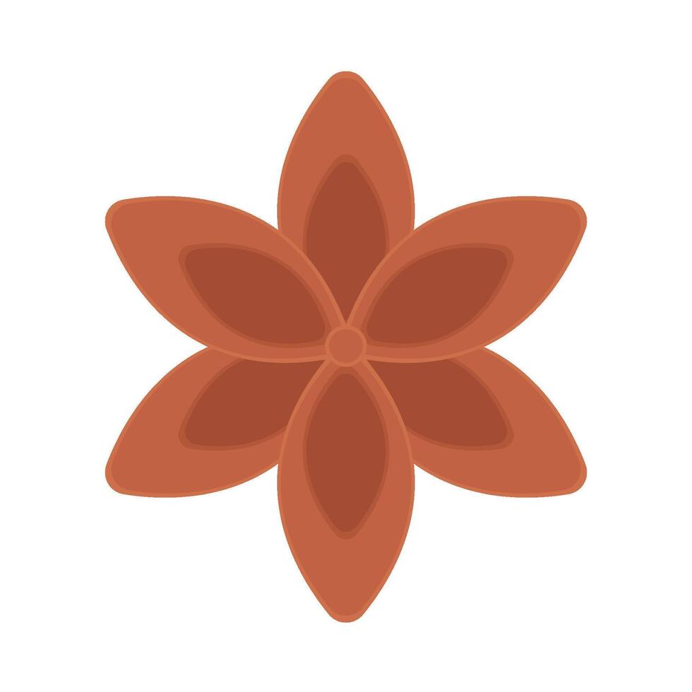 Illustration of star anise vector