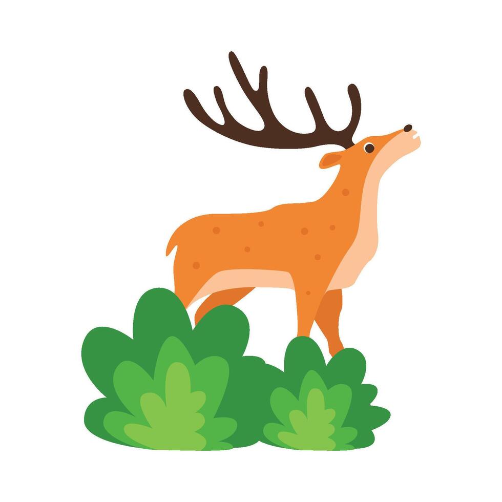Illustration of deer vector