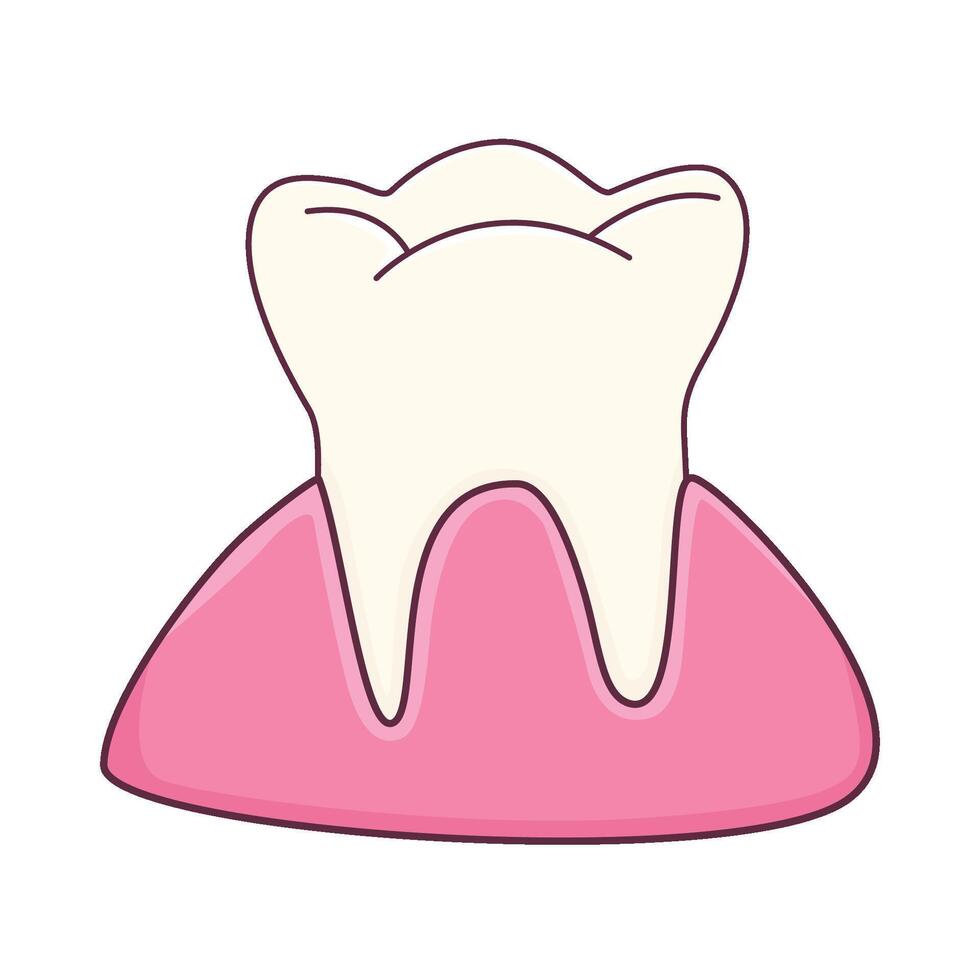 Illustration of tooth vector