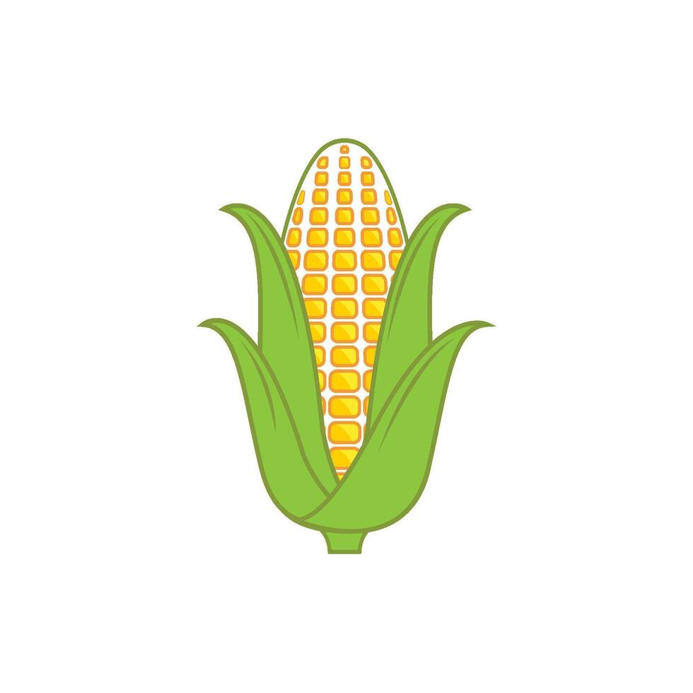 Corn illustration vector