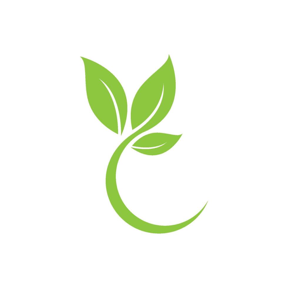 Green leaf logo icon vector