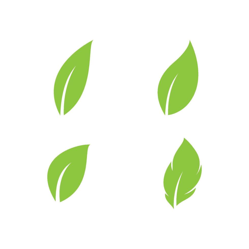 Green leaf logo icon vector