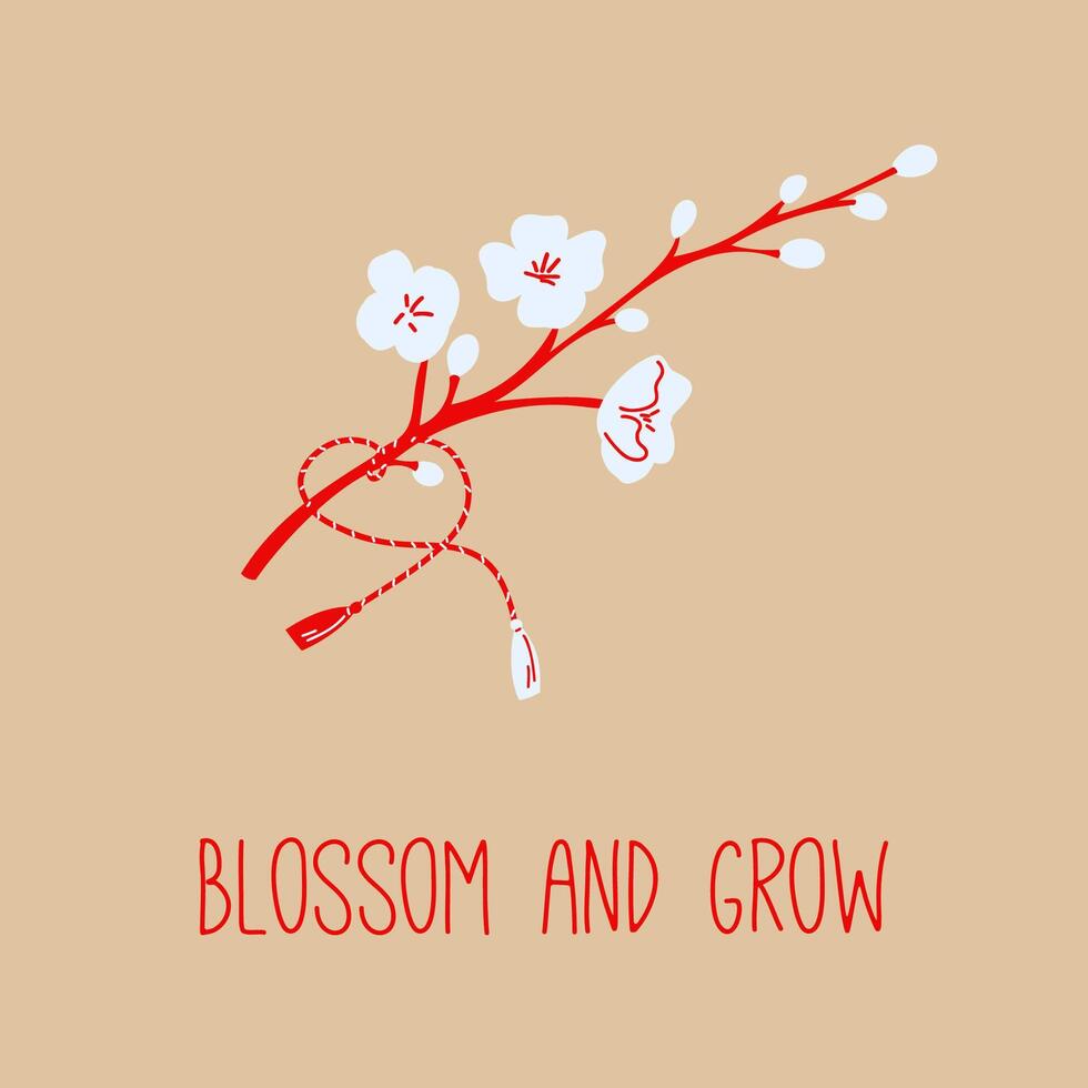 Martisor Twig with White Blossoms and Red Tassels - Symbol of Spring Growth vector