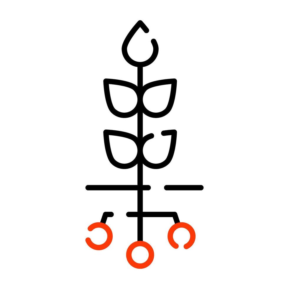 A linear design icon of barley crop vector