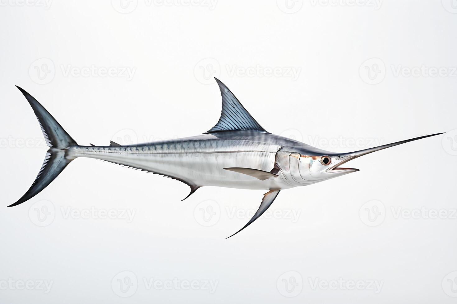 AI generated swordfish isolated on white background. ai generative photo