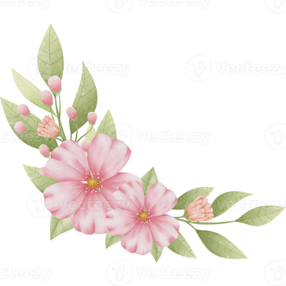 pink flowers on a transparent background png