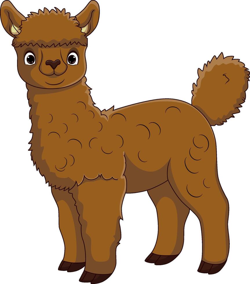 lindo, alpaca, caricatura, blanco, plano de fondo vector