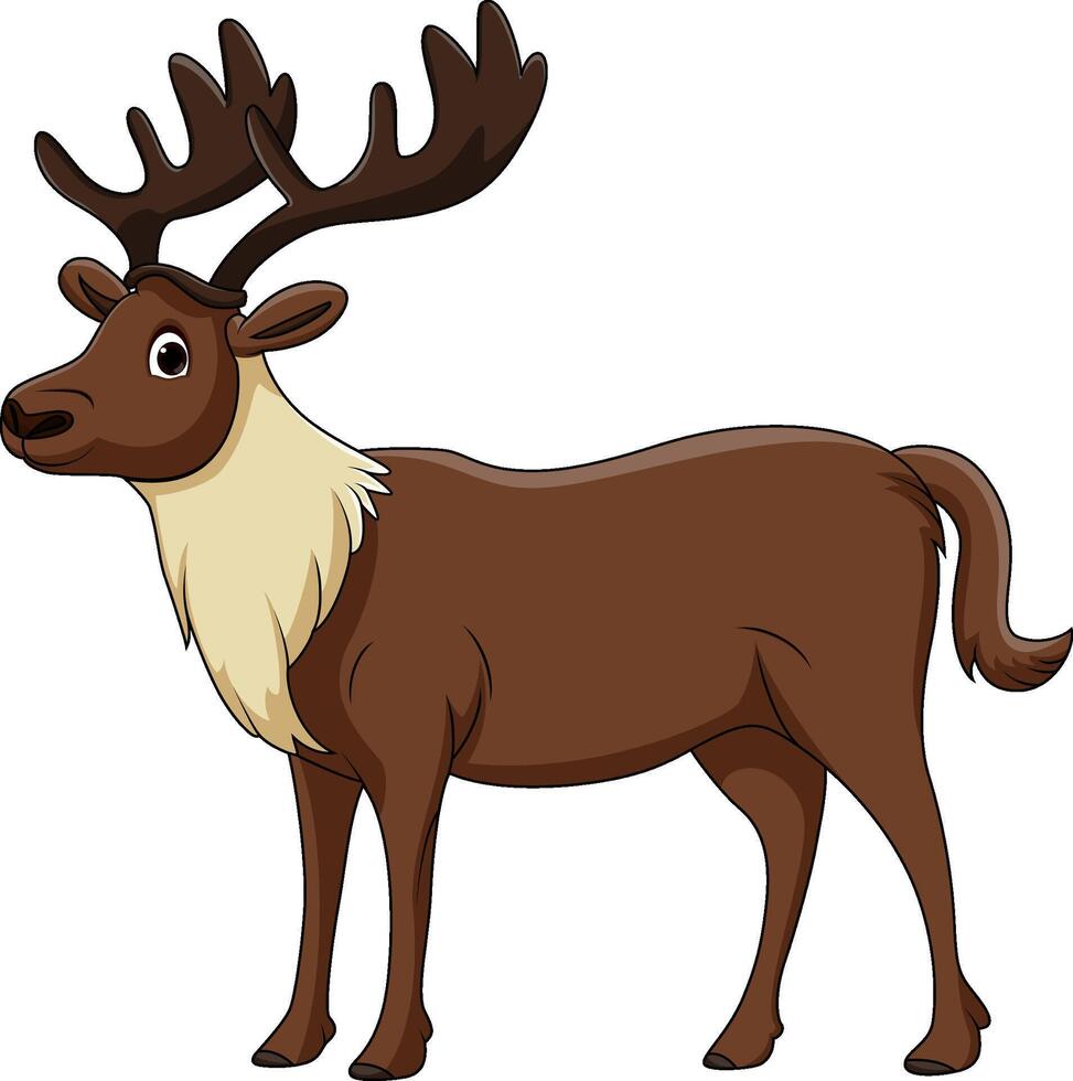Cute reindeer cartoon on white background vector