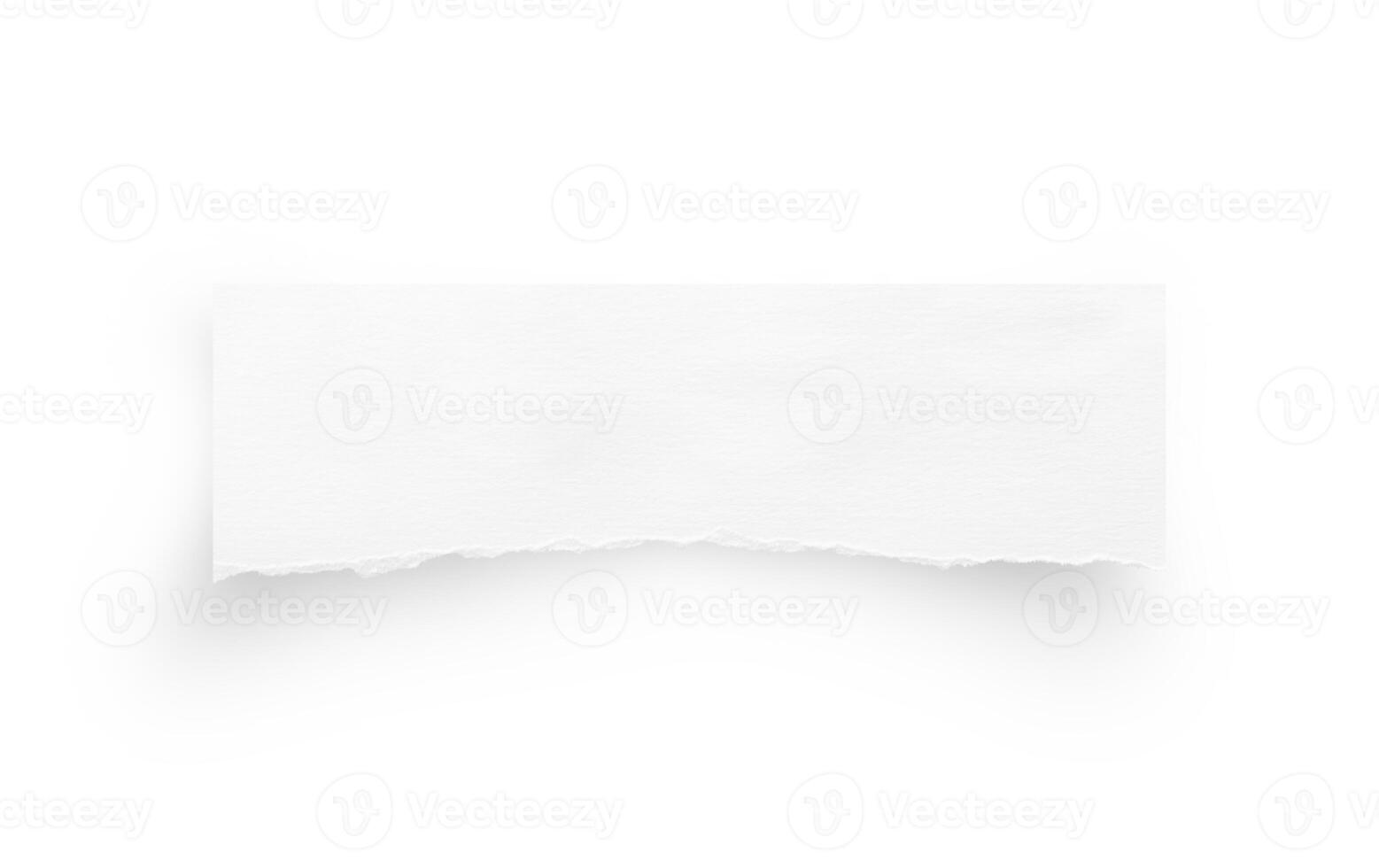 Torn paper edges. Ripped paper texture. Paper tag. White paper sheet for background with clipping path. photo