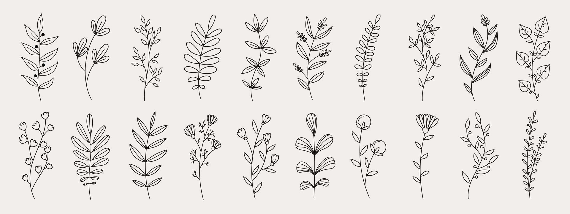 Hand drawn flower doodles. Hand drawn sketch of spring flower plant. Vector simple flower.