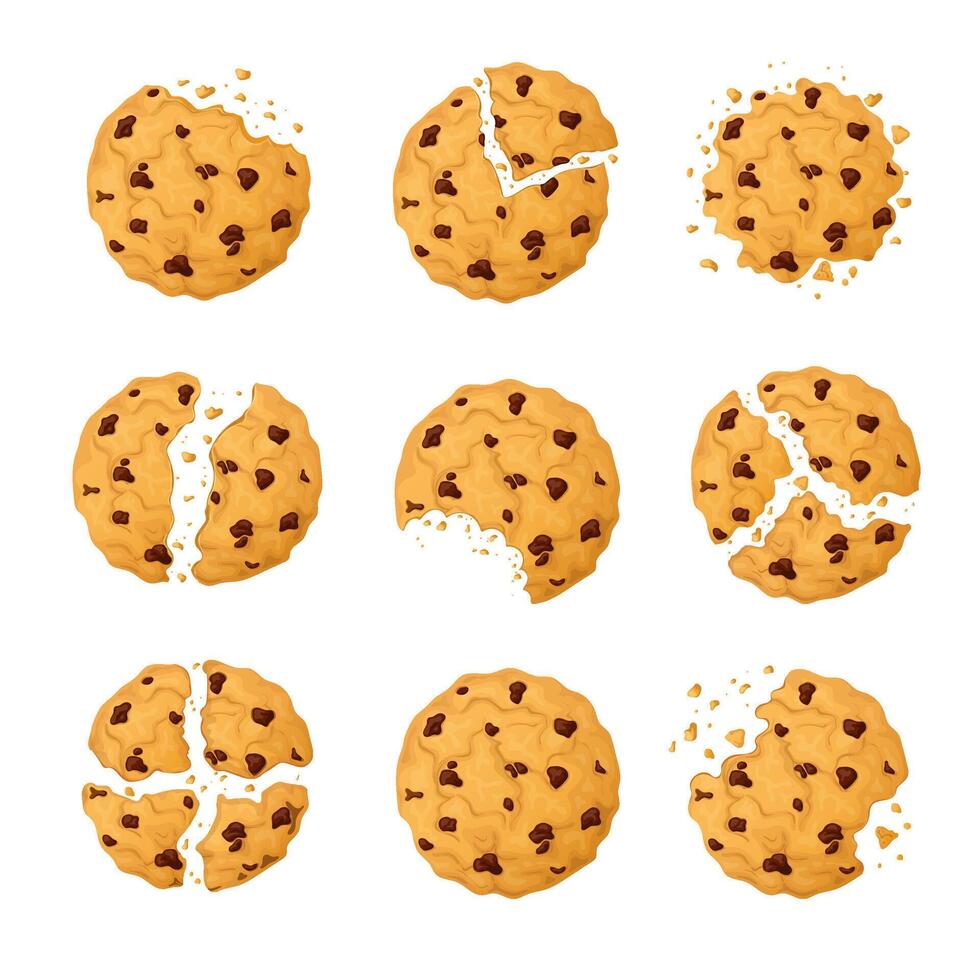Delicious chocolate chip cookie hand drawn cartoon style isolated on a white background vector