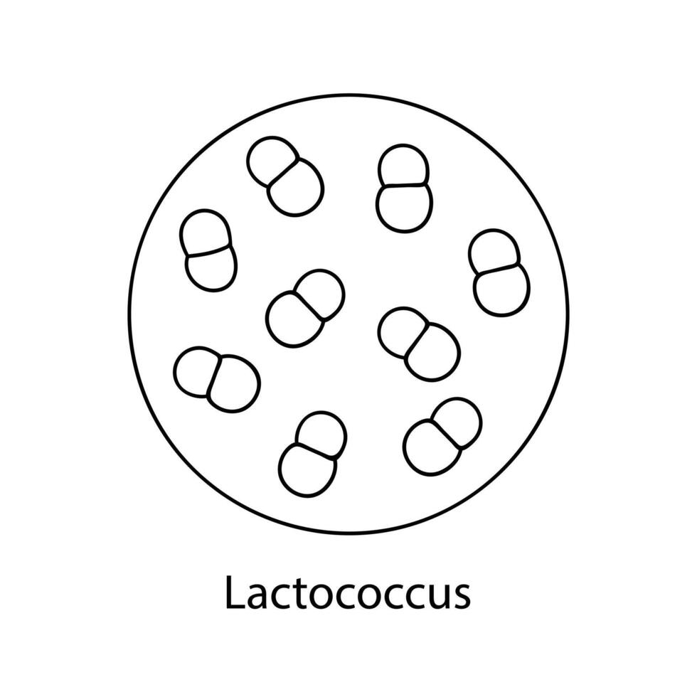 patógeno bacterias bacteriano microorganismo. microbiología, infografía. mano dibujado garabatear estilo. vector