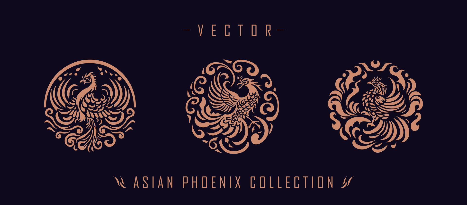 asiático tradicional fénix modelo antiguo chino fénix vector