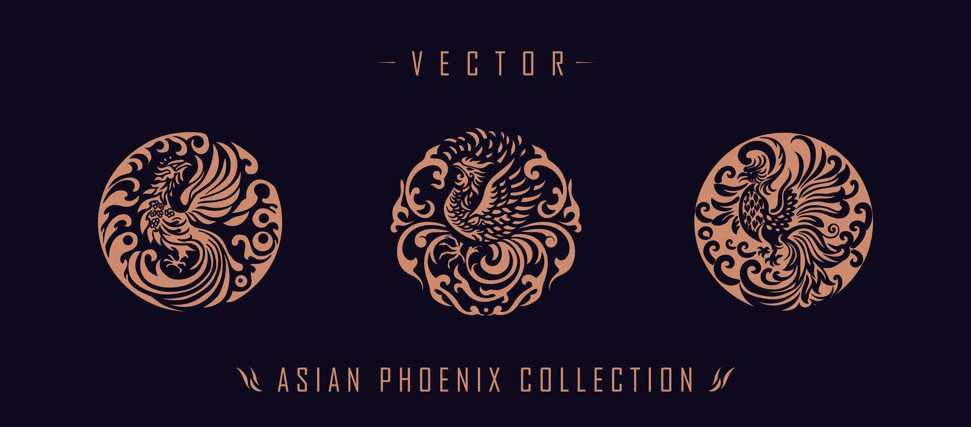 asiático tradicional fénix modelo antiguo chino fénix vector