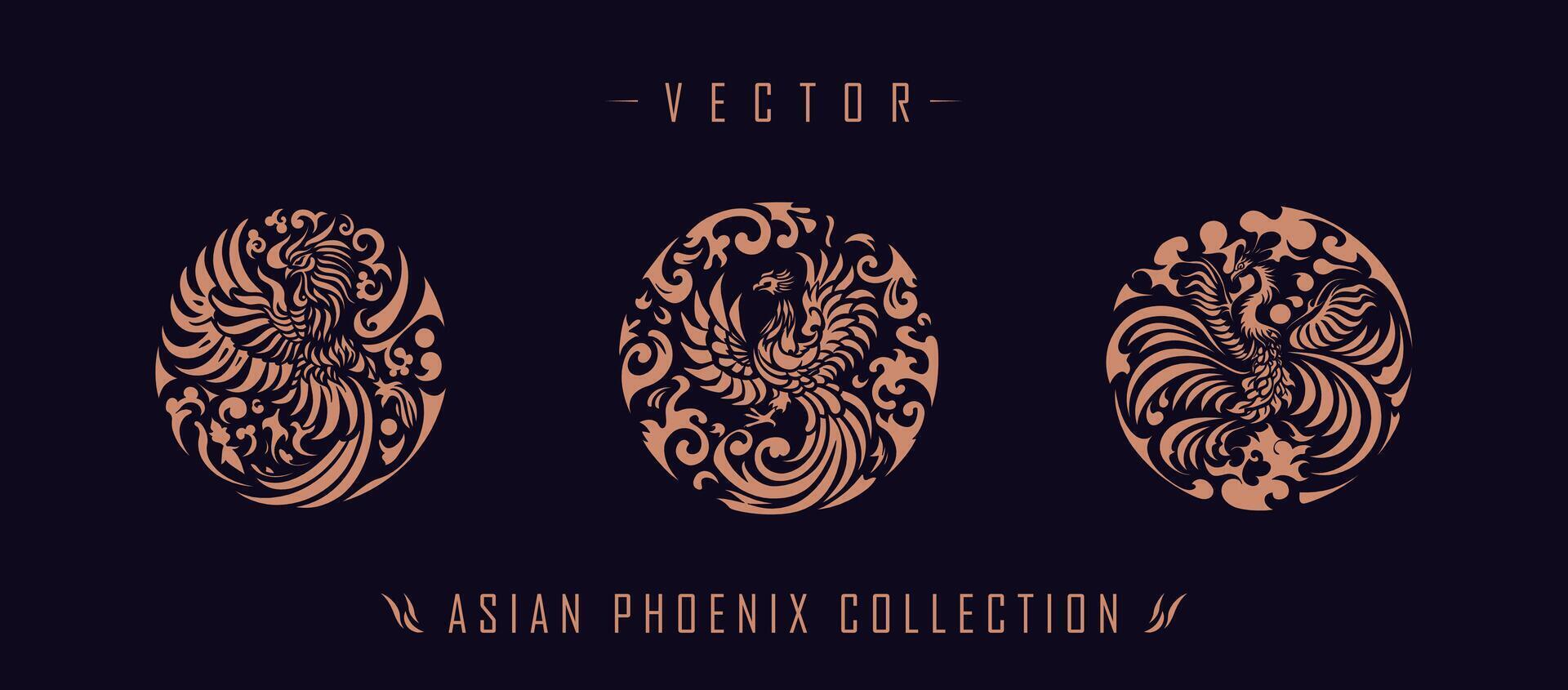 asiático tradicional fénix modelo antiguo chino fénix vector