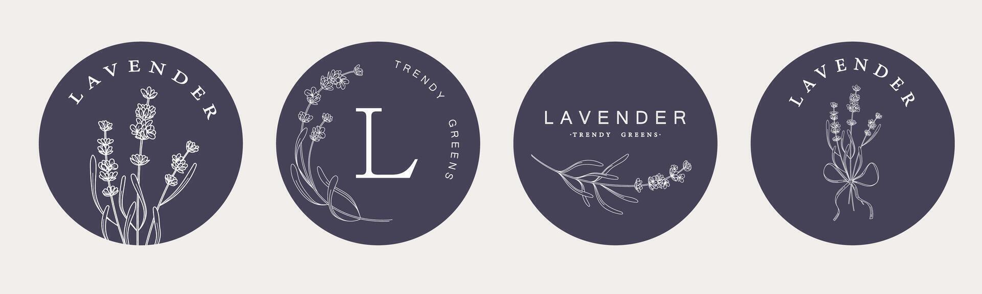 Lavender branches. Hand drawn botanical illustrations in linear style. vector