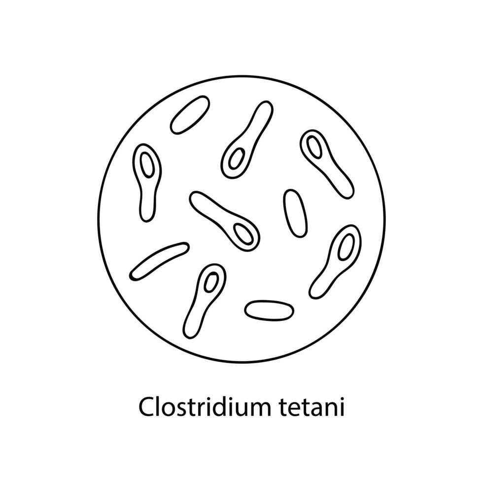 Pathogenic bacteria. Bacterial microorganism. Microbiology, infographics. hand drawn doodle style. vector