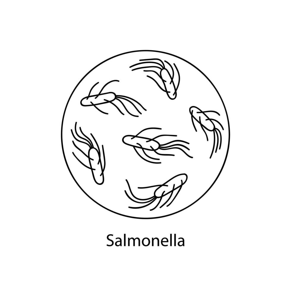 Pathogenic bacteria. Bacterial microorganism. Microbiology, infographics. hand drawn doodle style. vector