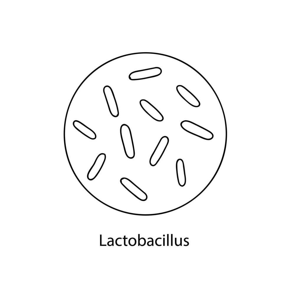 patógeno bacterias bacteriano microorganismo. microbiología, infografía. mano dibujado garabatear estilo. vector