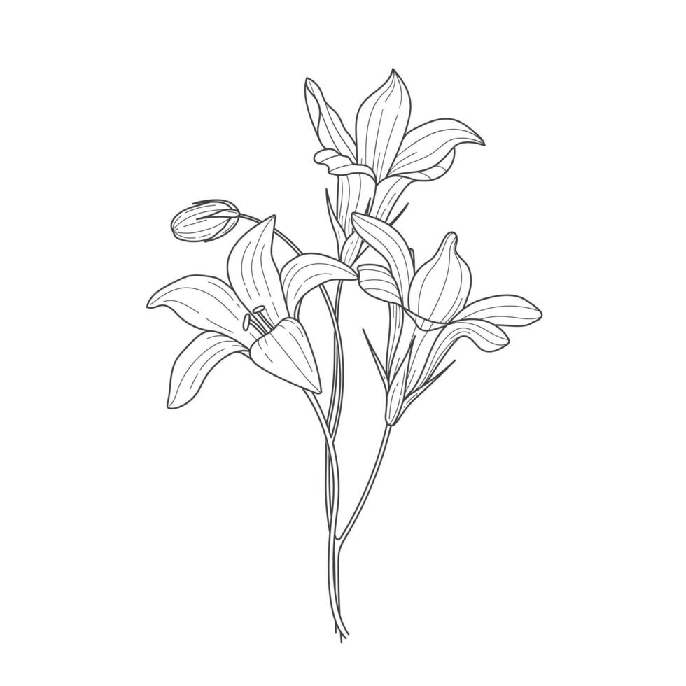 sketch of blue bell flower, floral element for design in linear style vector