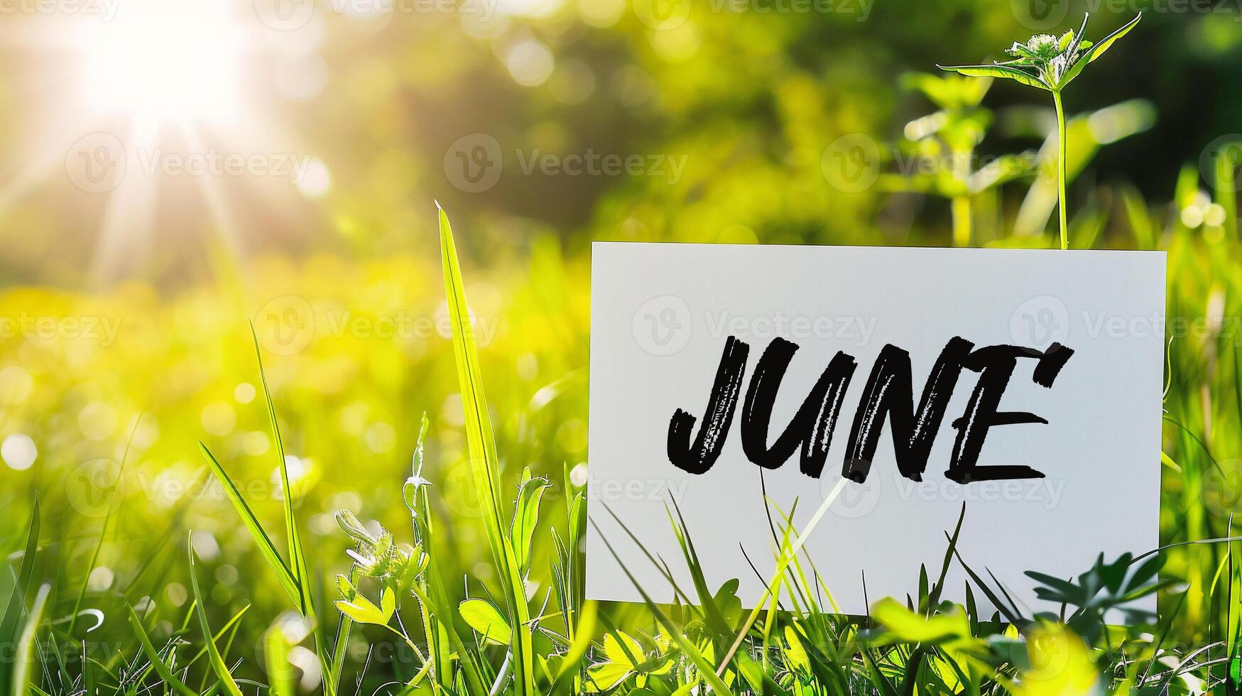 AI generated White paper with the word JUNE on the green grass in sunny day photo