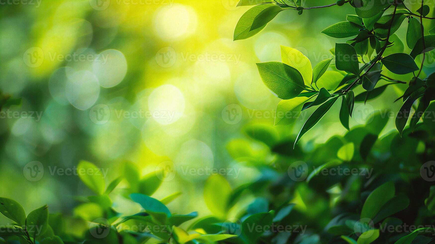 AI generated Close up of nature view green leaf on blurred greenery background under sunlight with bokeh and copy space photo