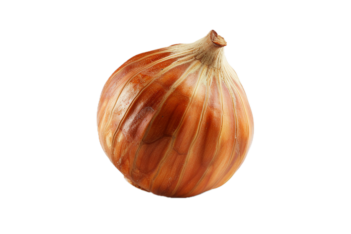 AI generated Close-Up of Hazelnuts png