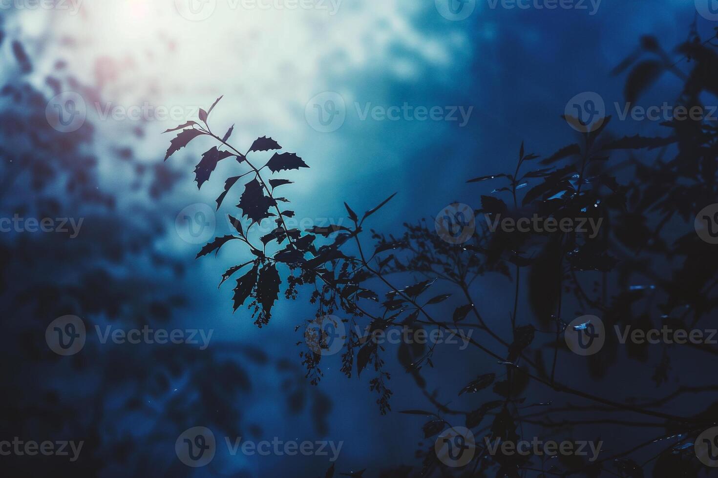 AI generated Silhouette of leaves on the blurred background. Toned. photo