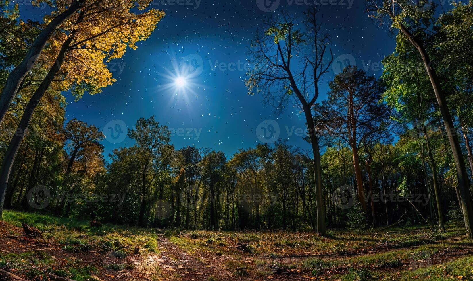 ai generado misterioso oscuro bosque con estrellas en el cielo. noche bosque con lleno Luna y estrellas en el cielo. foto