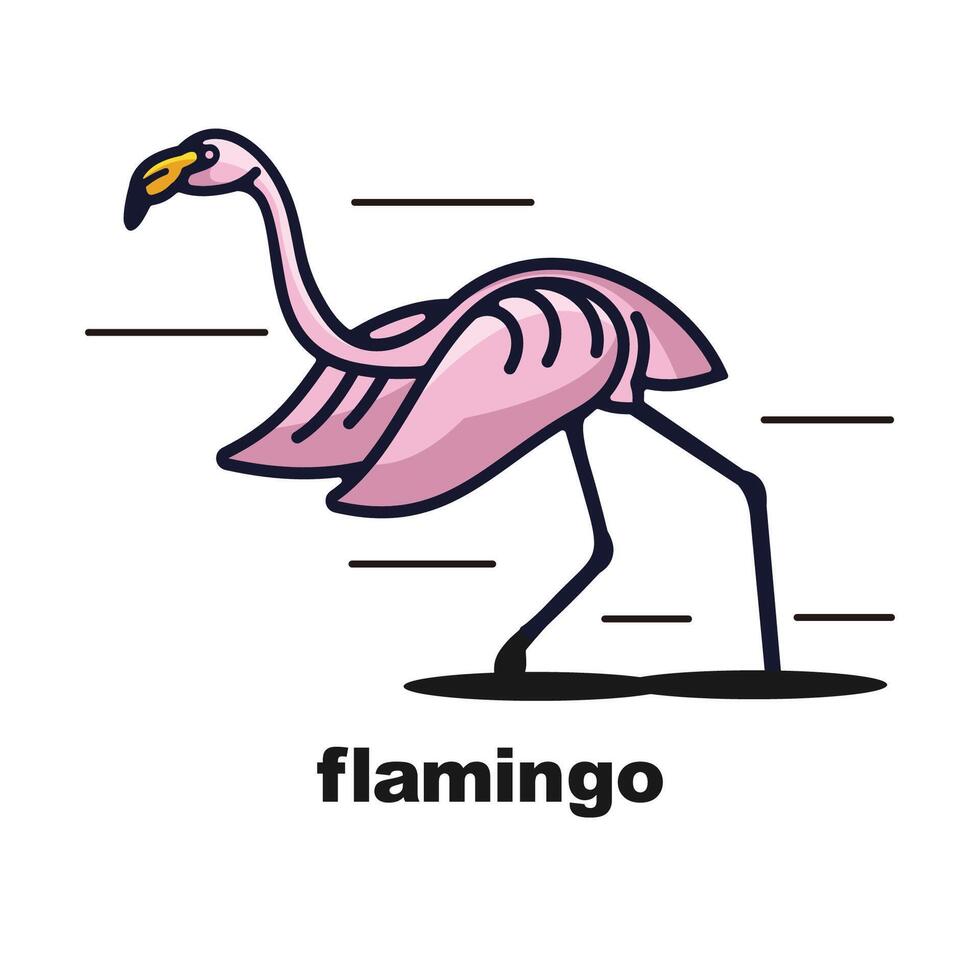 flamenco pájaro logo colección vector