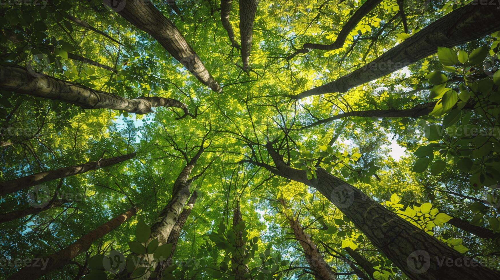 AI generated forest trees view from below into the sky. nature green wood sunlight backgrounds photo